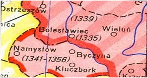 Ziemia wieluńska i namysłowska za panowania Kazimierza Wielkiego (Bibl)